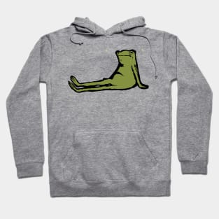 Lazy Frog - Sleep Frog Hoodie